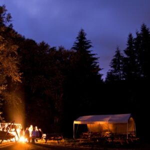 Camping at Lower Himalayas