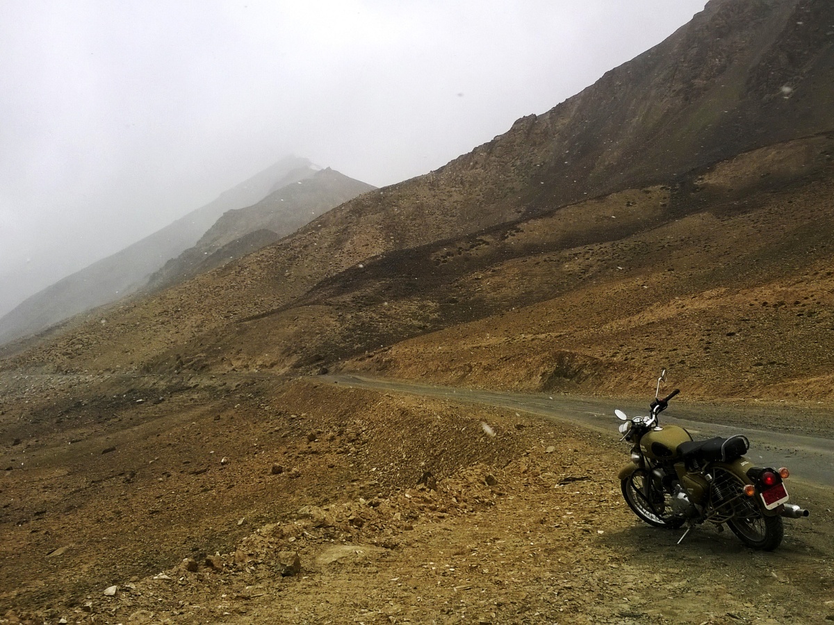 Thumbnail Trip Carousel Bike Highland (1)