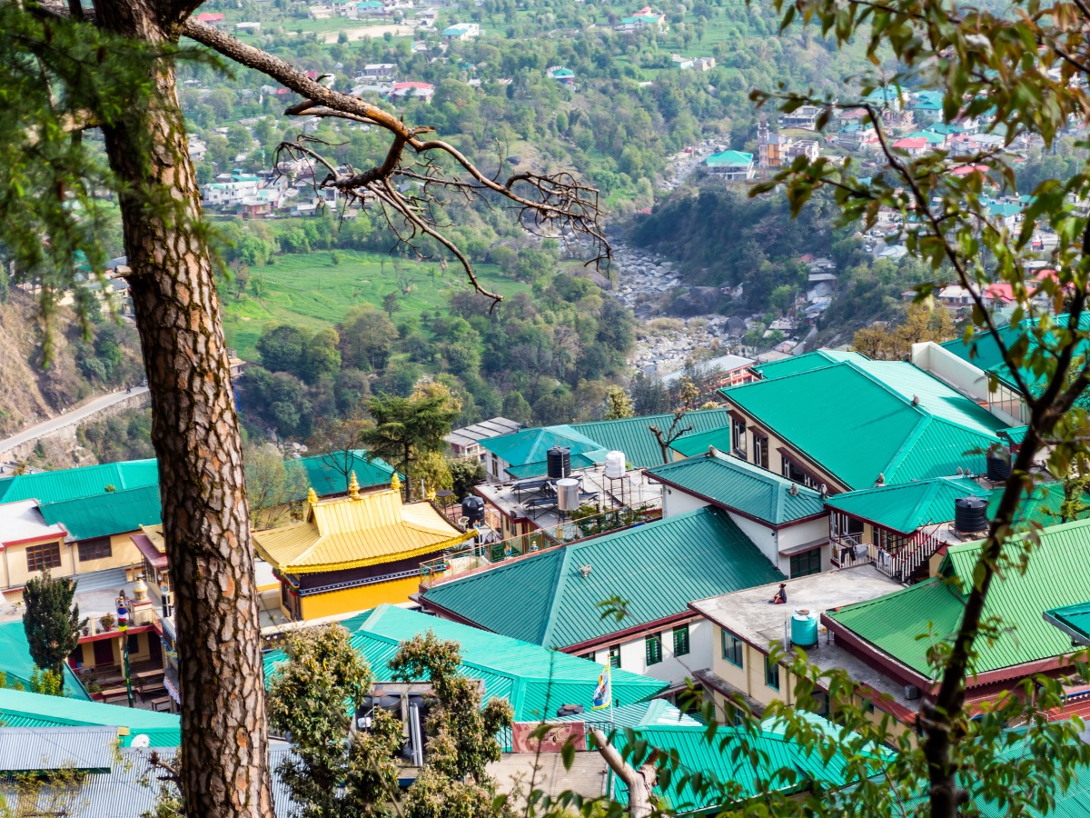 Thumbnail Trip Carousel Enchanting North India (5)