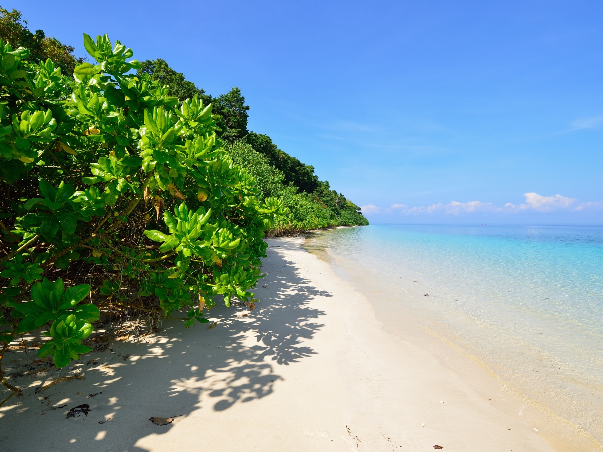 Thumbnail Trip Carousel Island Andaman (2)