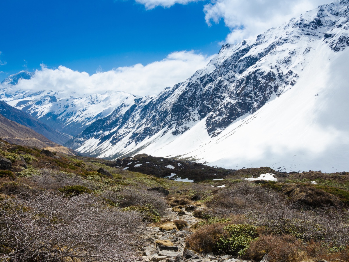 Thumbnail Trip Carousel North Sikkim (2)