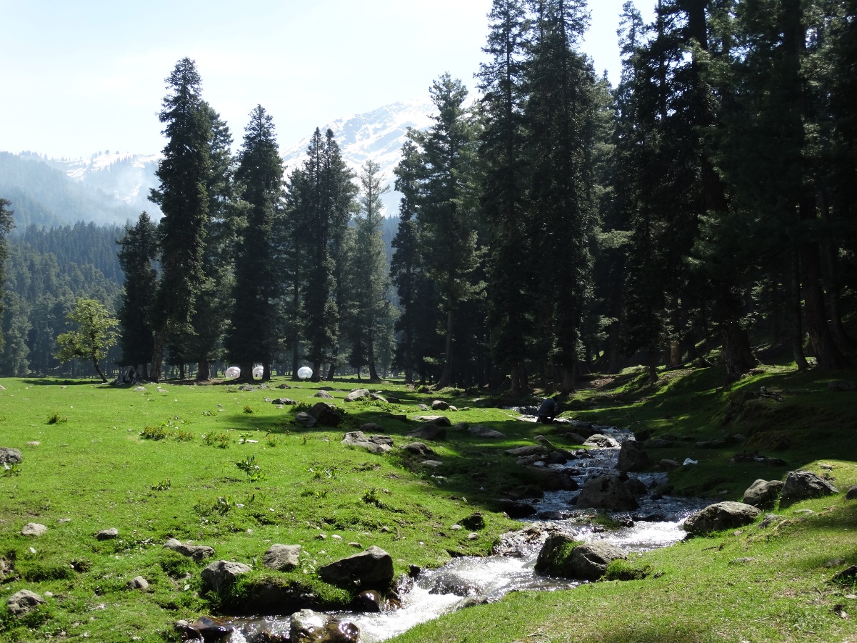 Thumbnail Trip Carousel Serene Kashmir (1)