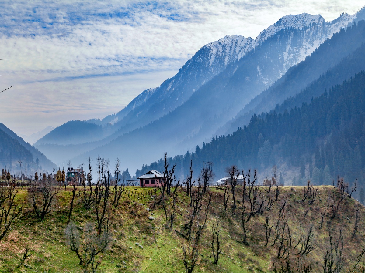 Thumbnail Trip Carousel Serene Kashmir (2)