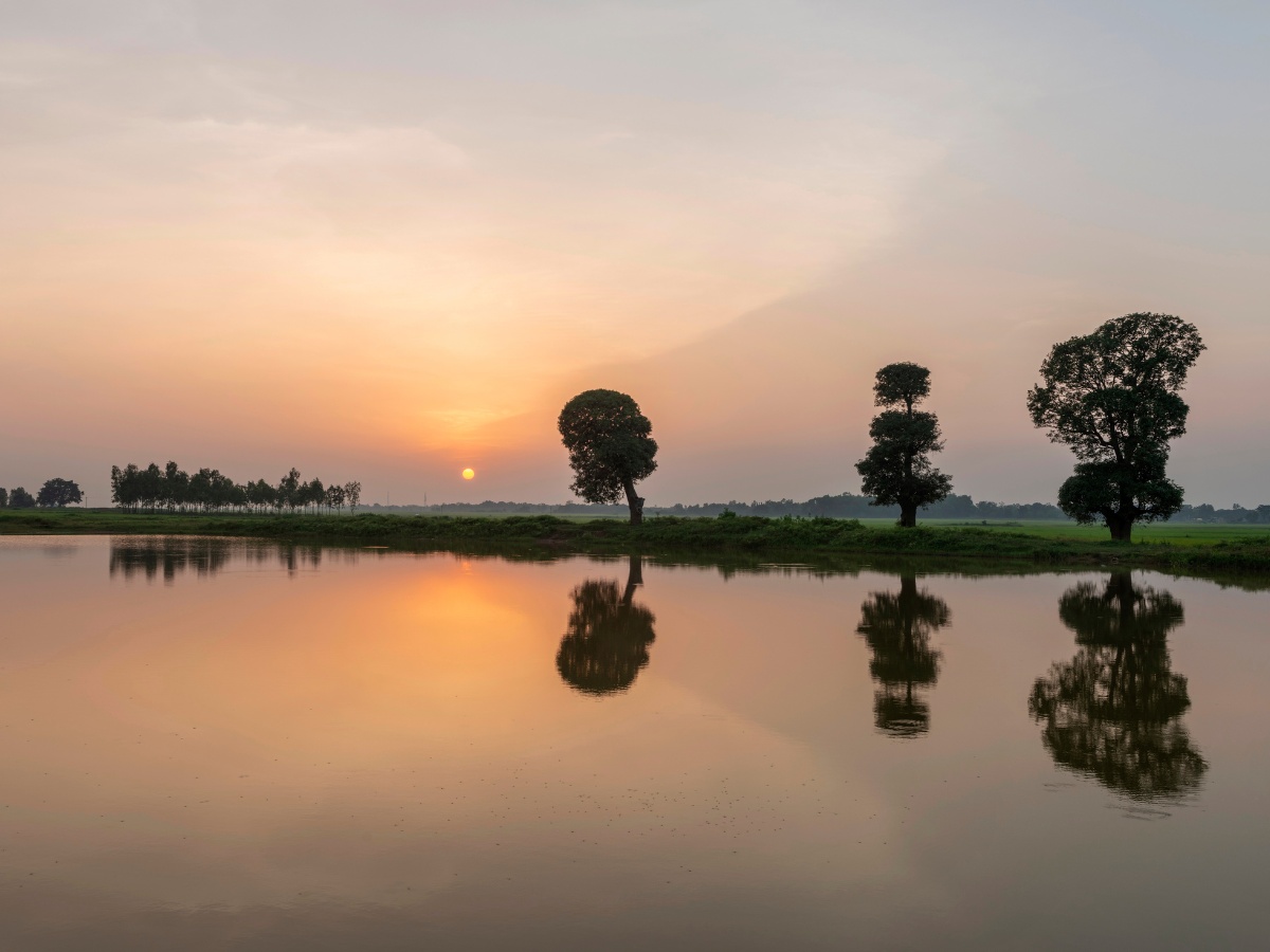 Thumbnail Trip Carousel Unexplored Chhattisgarh (3)