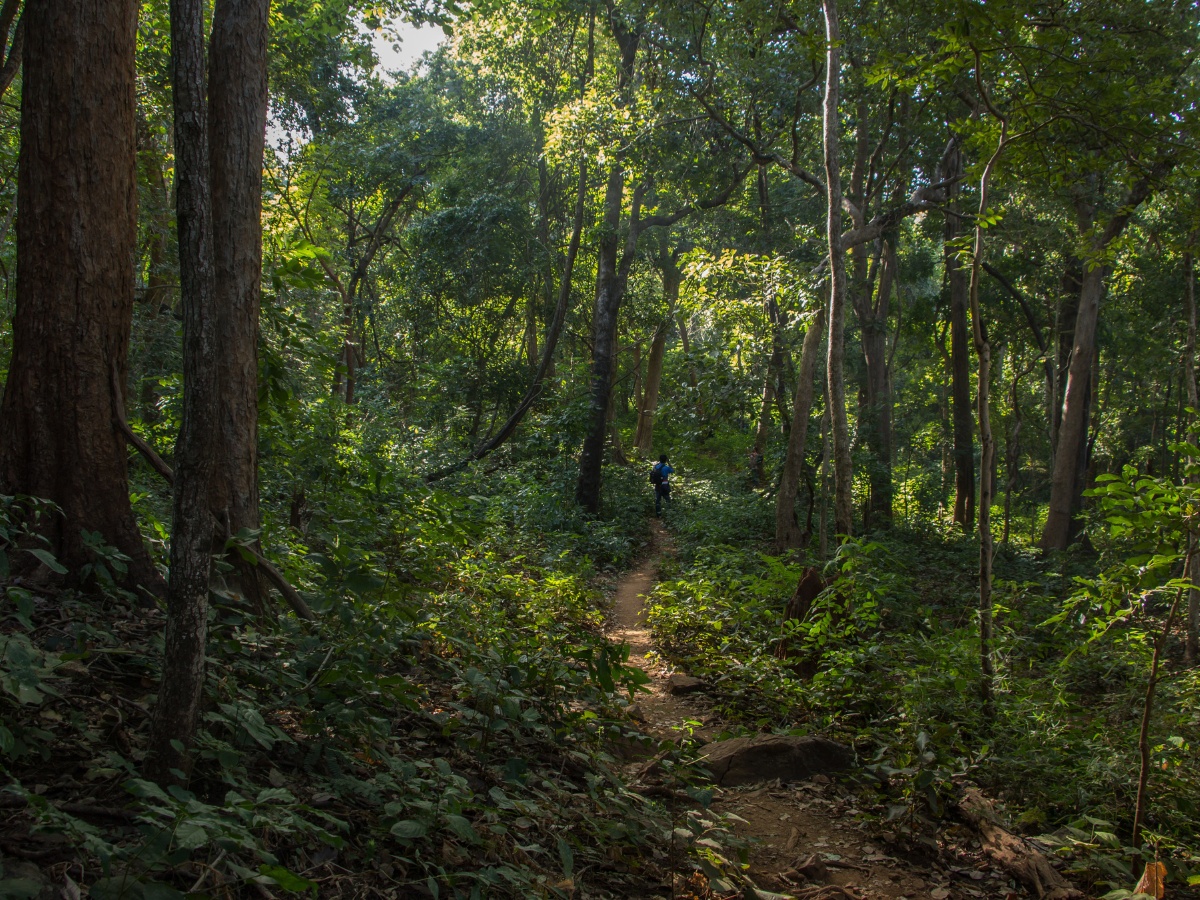 Thumbnail Trip Carousel Unexplored Chhattisgarh (4)