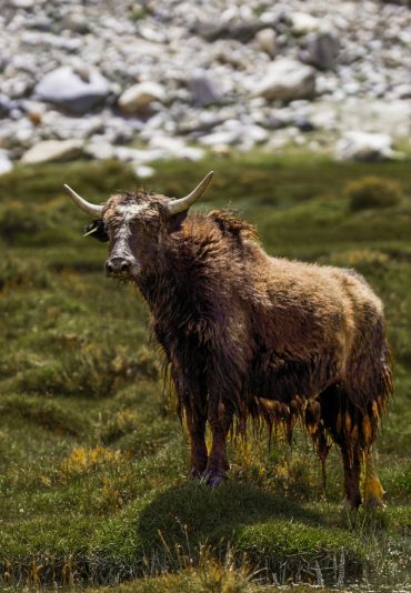 Long Thumbnail Photography Ladakh Tour